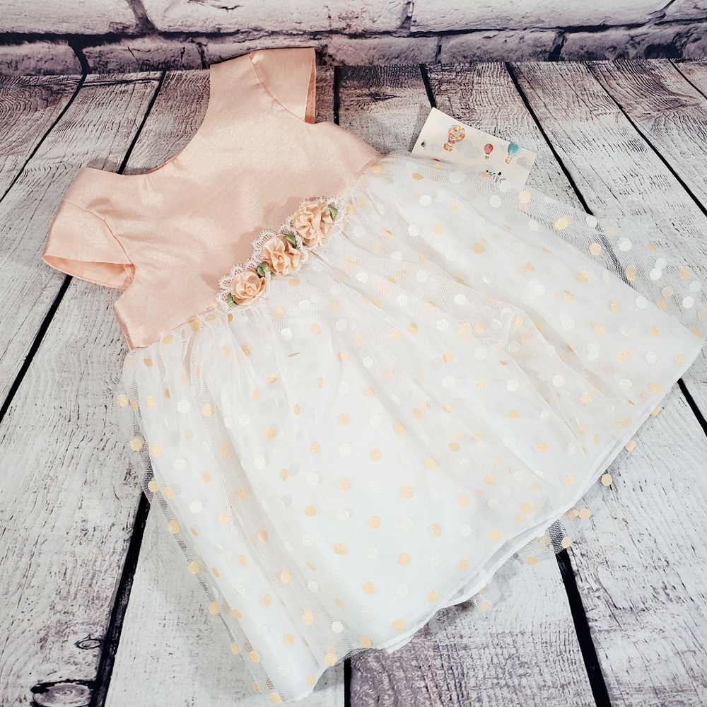Mia & Mimi Peach Baby Girl Formal Flower Dress